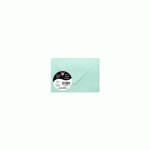 LOT DE 2 - PAQUET DE 20 ENVELOPPES POLLEN 75X100MM 120G/M² - VERT JADE