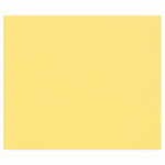 TULIPE RAME 50F A3 160G - BOUTON D