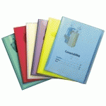 LOT DE 10 - PROTÈGE-DOCUMENTS VIQUEL PROPYGLASS POLYPROPYLÈNE TRANSLUCIDE A4 50 POCHETTES - 100 VUES COULEURS ASSORTIES