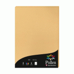 LOT DE 2 - ETUI DE 50 FEUILLES POLLEN 210X297MM 120G/M2 - CARAMEL