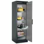 ARMOIRE SÉCURITÉ Q-PEGASUS-90 Q90.195.060.WDACR GRIS/ARGENT - ASECOS