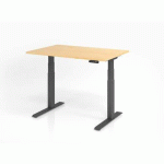 BUREAU ASSIS-DEBOUT SÉRIE XDKB-120X80CM-ÉRABLE-GRAPHITE - HAMMERBACHER