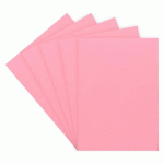 CHEMISE STANDARD 160 G 24 X 32 CM COULEUR - PAQUET DE 100 - ROSE