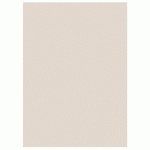 RAJA CHEMISES DOSSIERS 220G RECYCLÉES - 24 X 32 CM - GRIS - LOT DE 100