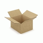 CAISSE CARTON BRUNE DOUBLE CANNELURE À MONTAGE INSTANTANÉ RAJA 25X20X15 CM