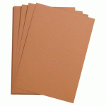 LOT DE 5 - ETIVAL COLOR PAQUET 5F A4 160G - SAUMON