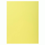 LOT DE 5 - PAQUET 100 CHEMISES 1 RABAT SUPER 160 - 24X32CM - CANARI