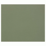 TULIPE RAME 25F 50X65CM 160G - VERT OCÉAN