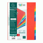 LOT DE 5 - INTERCALAIRE A4 CARTE LUSTRÉE COLORÉE EXACOMPTA 12 ONGLETS NEUTRES