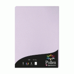 ETUI DE 50 FEUILLES POLLEN 210X297MM 120G/M2 - GLYCINE - LOT DE 3