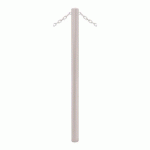 POTELET CARREFOUR Ø60 MM CHAINES 2 ANNEAUX ZINC GRIS 7044 - PROCITY