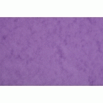 CARTE EUROPA PAQUET 50F A4 256G - LILAS - LOT DE 100