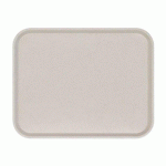 LOT DE 20 - PLATEAU BASIK GN 1/1 53 X 32,5 CM - GRIS FUMÉ