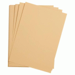 LOT DE 5 - ETIVAL COLOR PAQUET 5F A4 160G - MAÏS