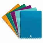 LOT DE 5 - CAHIER SPIRALE STANDARD BRUNEAU 17 X 22 CM GRANDS CARREAUX 100 PAGES