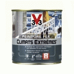 PEINTURE FER CLIMATS EXTRÊMES V33