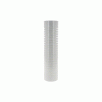 LOT DE 2 CARTOUCHES JETABLES FILTRES 5 ΜM ANTI-BOUE ET PARTICULE - POLAR - CJFI5X2