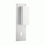 POIGNÉE PALIÈRE ALUMINIUM TYPE BASTILLE 70X250MM ARGENT CLÉ L - HERACLES - I-231103CLEL
