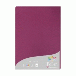 ETUI DE 25 FEUILLES POLLEN 210X297MM 210G/M2 - FRAMBOISE - LOT DE 2