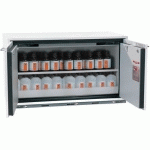 ARMOIRE SÉCURITÉ UB-T-90 UB90.060.110.050.UL.2T BLANC - ASECOS
