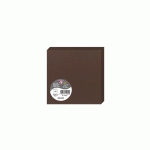 PAQUET DE 25 CARTES PLIÉES POLLEN 135X135MM 210G/M² - CACAO - LOT DE 2