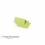 PAQUET DE 25 MARQUE-PLACES POLLEN 85X80MM 210G/M² - VERT BOURGEON - LOT DE 3