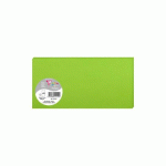 LOT DE 3 - PAQUET DE 25 CARTES SIMPLES POLLEN 106X213MM 210G/M² - VERT MENTHE