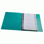 LOT DE 15 - INTERCALAIRES POLYPROPYLÈNE RECYCLÉ FOREVER YOUNG 10 POSITIONS - A4 - COULEURS ASSORTIES