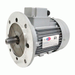 MOTEUR ÉLECTRIQUE TRIPHASÉ 230/400V 0.75 KW 3000 TR/MIN - MH380K2B5 ALU BRIDE B5