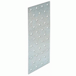 PLAQUE PERFORÉE POUR LIAISON DE CHARPENTE - NP20/100/160 SIMPSON STRONG-TIE