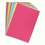 SOUS-CHEMISE STANDARD 80 G BRUNEAU 22 X 31 CM COULEURS ASSORTIES - PAQUET DE 100