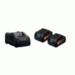 SET DE DÉMARRAGE FEIN - 2 BATTERIES18V 5AH + 1 CHARGEUR RAPIDE GAL 1880 CV FEIN