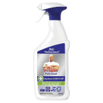 DÉGRAISSANT CUISINE DÉSINFECTANT HACCP MR PROPRE 750 ML
