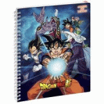 LOT DE 3 - CAHIER DE TEXTES DRAGON BALL S 