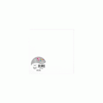 LOT DE 2 - PAQUET DE 25 CARTES SIMPLES POLLEN 160X160MM 210G/M2 - BLANC