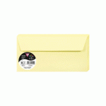 LOT DE 2 - PAQUET DE 20 ENVELOPPES POLLEN 110X220MM 120G/M2 - CANARI