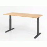 BUREAU ASSIS-DEBOUT SÉRIE XMKA-180X80CM-CHÊNE-GRAPHITE - HAMMERBACHER