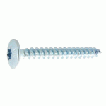 VIS DE PENTURE TORX ACIER ZINGUÉ BLANC 6X100/70 BOÎTE DE 100 - ULTIMA - AFB31160100