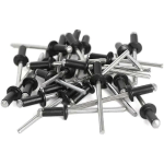 600PC RIVETS 8 TAILLES ASSORTIMENT DE RIVETS AVEUGLES (1/8 POUCES X 1/4 POUCES,5/16 POUCES,3/8 POUCES,1/2 POUCES,3/16 POUCES X 5/16 POUCES,3/8