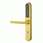 POIGNÉES DE PORTE SUR PLAQUES - ÉLECTRONIQUES - INTELOCK MULTI - DORÉ - ENTRAXE 85MM FTH THIRARD