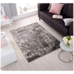 FLAIR RUGS - TAPIS DESIGN RAYÉ POUR SALON WONDERLUST GRIS 120X170 - GRIS