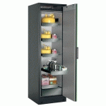 ARMOIRE SÉCURITÉ Q-PEGASUS-90 Q90.195.060.WDACR GRIS/VERT - ASECOS