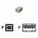 MCL ADAPTEUR USB TYPE A / B USB TYPE-A FEMALE USB - B FEMALE BLANC