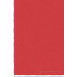 PAPIER PEINT CHAMBRE ENFANT ROUGE VIF TAPISSERIE UNIE ROUGE CHAMBRE GARÇON PAPIER PEINT INTISSÉ CHAMBRE FILLE UNI LAVABLE - ROUGE,