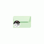 LOT DE 3 - PAQUET DE 20 ENVELOPPES POLLEN 90X140MM 120G/M2 - VERT
