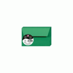 LOT DE 3 - PAQUET DE 20 ENVELOPPES POLLEN 90X140MM 120G/M2 - VERT SAPIN