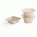 CARTON DE 400 (8 SACHETS DE 50) SALADIERS EN FIBRE DE CANNE CARRÉS 180X180X60 MM 70 CL