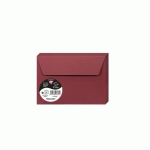 PAQUET DE 20 ENVELOPPES POLLEN 114X162MM 120G/M2 - BORDEAUX - LOT DE 4