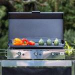 Achat - Vente Plaques de cuisson à gaz