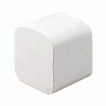 PAPIER TOILETTE EN PAQUET DOUBLE ÉPAISSEUR BRUNEAU - 36 X 250 FEUILLES